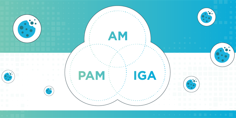 Strengthening Cyber Defenses: The Crucial Role of PAM and IGA Solutions