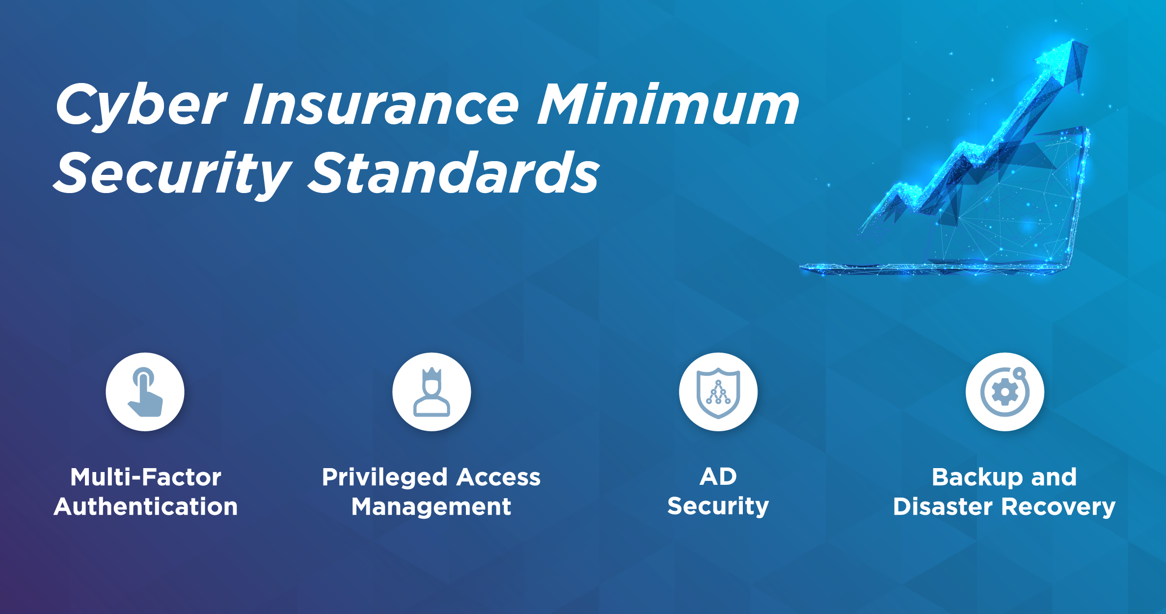 What is Cyber Insurance